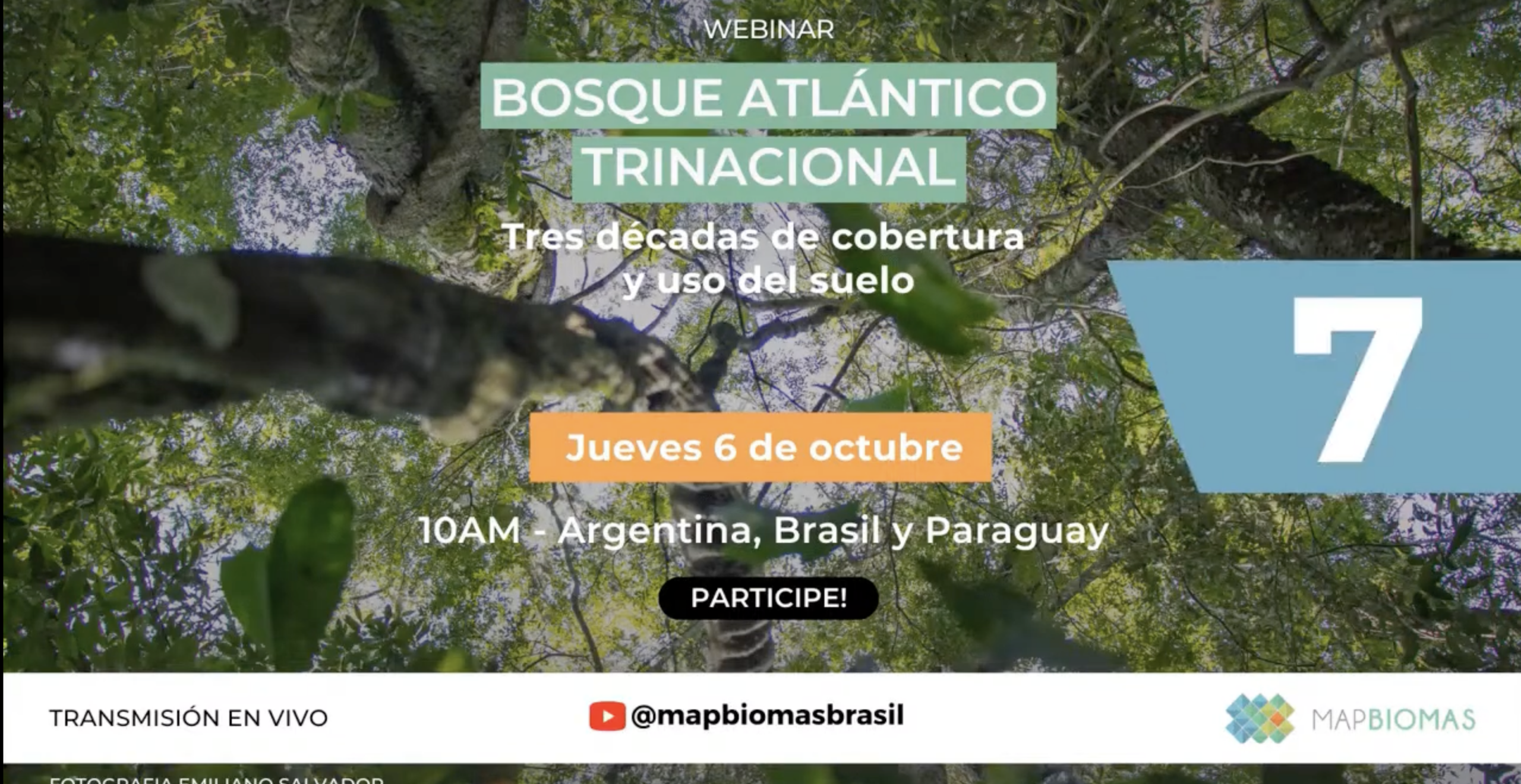 2DO LANZAMIENTO DE MAPBIOMAS BOSQUE ATLÁNTICO TRINACIONAL – COLECCIÓN 2.0